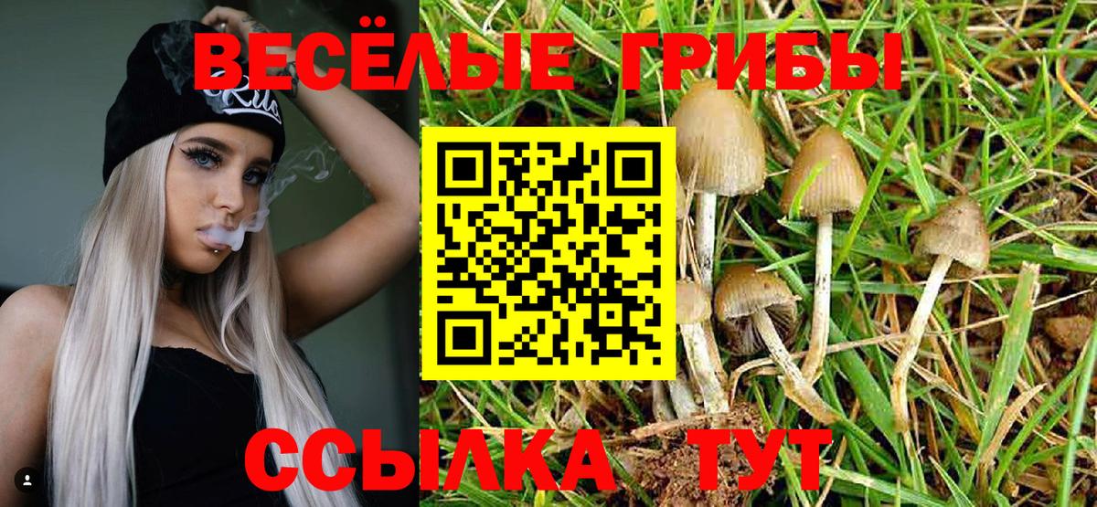 Галлюциногенные грибы GOLDEN TEACHER Кизляр